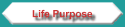 Life Purpose